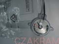 SZKIEŁKO 2.jpg