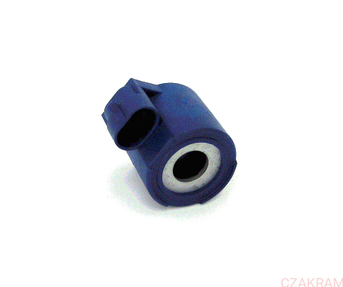 SS1.gif